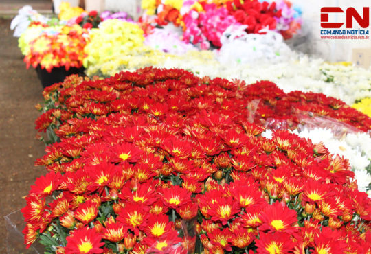 Finados cemitério flores