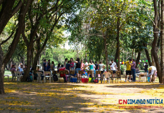 Piquenique parque arnaldo