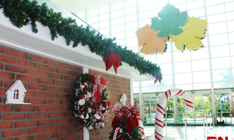 Polo shopping natal2