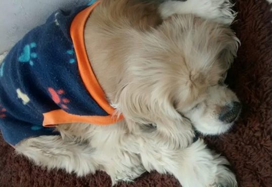 44977689 1854363154599857 1637619460292476928 n