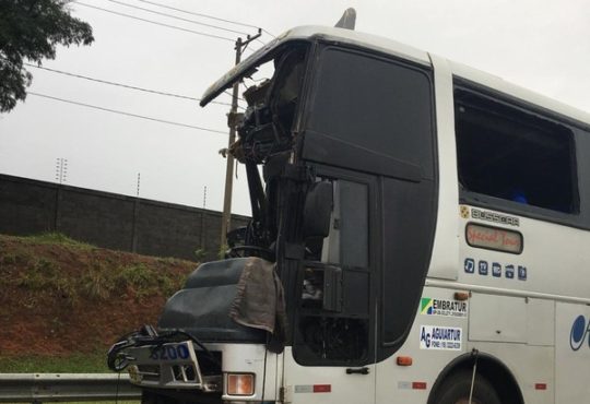 Whatsapp image 2018 11 19 at 07.26.43