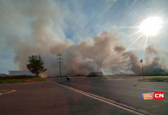 Whatsapp image 2018 12 21 at 18.07.18 cópia