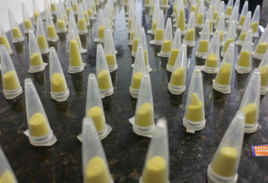 Whatsapp image 2018 12 27 at 11.01.01 cópia