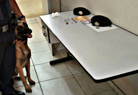 Whatsapp image 2018 12 28 at 14.06.19 cópia