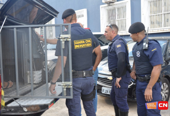 Dsc 0618 cópia cópia