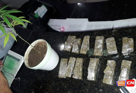 50955185 291886928184762 5148990228203044864 n cópia cópia