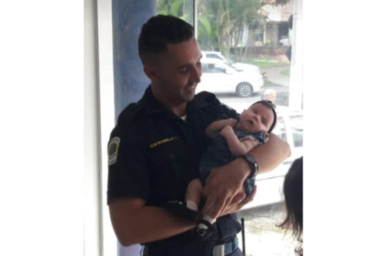 52840289 2336671183215587 7062159594612588544 n cópia cópia