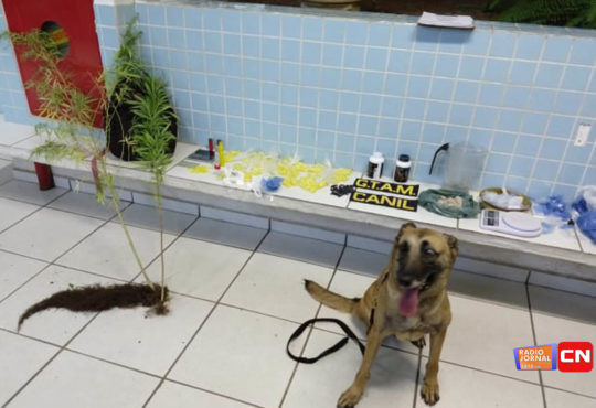 Ação canil itupeva 1