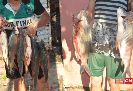 Contaminação peixes 5