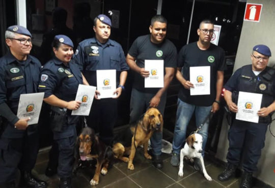 53584718 391342148330830 3515239021615775744 n