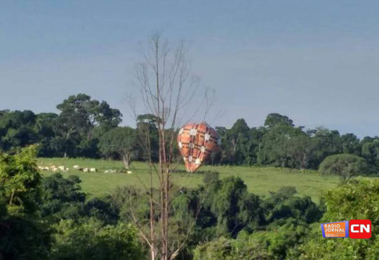 53742482 402825670286202 6794223269646958592 n cópia cópia