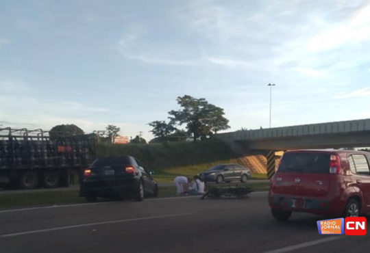 54200863 1916485245128543 3163481779893960704 n cópia cópia