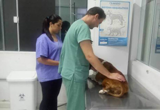 54520055 308236186542278 2160042664949448704 n cópia cópia