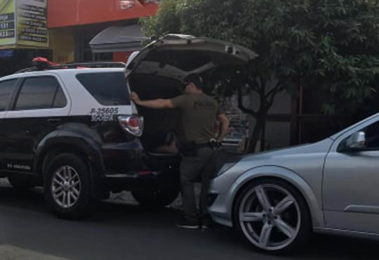 55624173 330521147811431 5436072963323461632 n cópia cópia