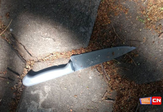 6ab35219 5ec2 4bb0 921b 46415d7b19b7 cópia cópia