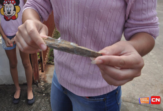 Dsc 1798 cópia cópia