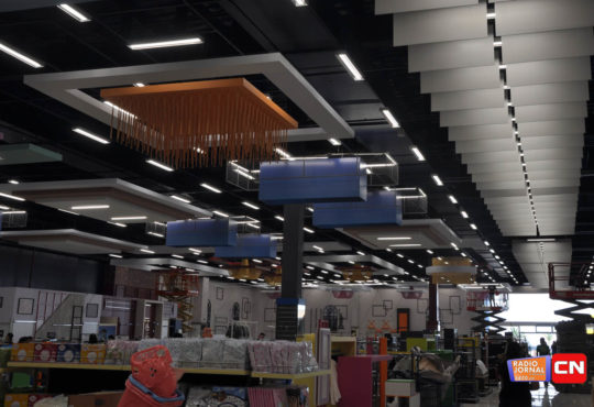 Dsc 2255 cópia cópia