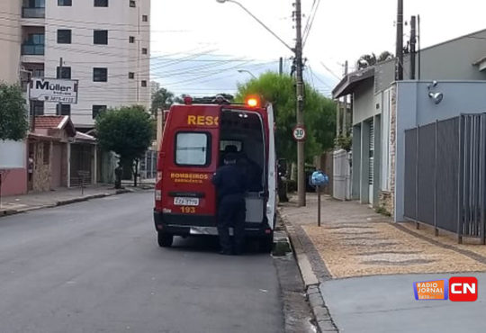 56954316 2619367551467432 1148875482205257728 n cópia cópia