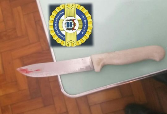 56990162 2174848482592991 7758221064257142784 n