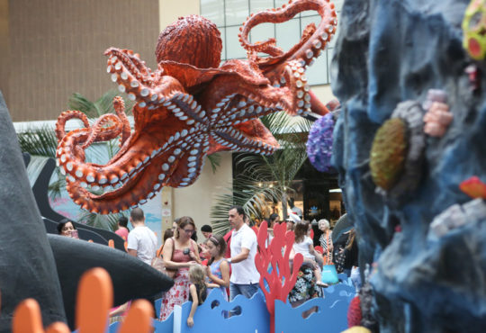 06.04.19 aquario pdptatiana ferro fotografia