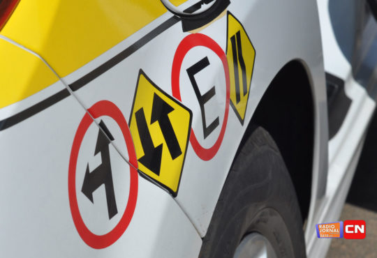 Dsc 3695 cópia cópia