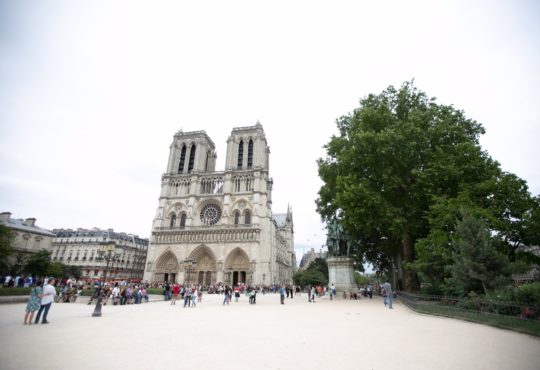 Whatsapp image 2019 04 15 at 19.45.45 (1)