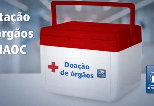 Notíciadosite 2 82 19