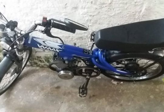 61621039 304899490458070 3198563317580824576 n