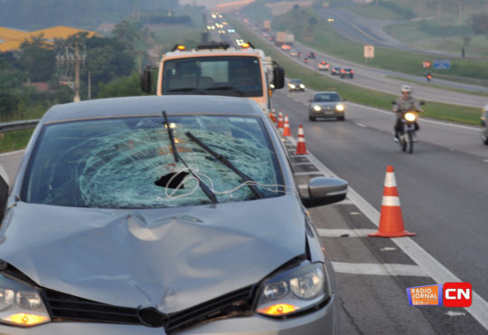 Atropelamento km 45 4