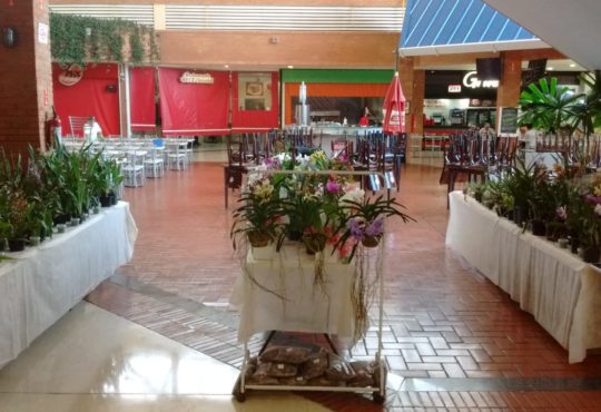 Whatsapp image 2019 05 08 at 10.11.39