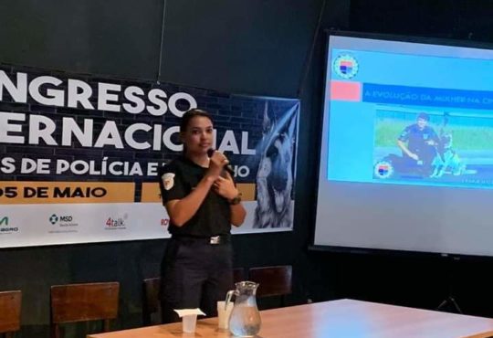 Canilbarra mansa maio 2019