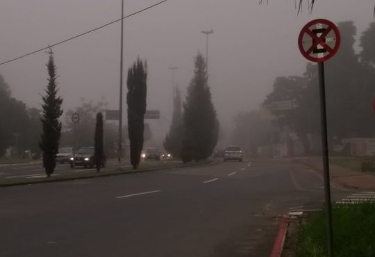 Frio neblina (1)