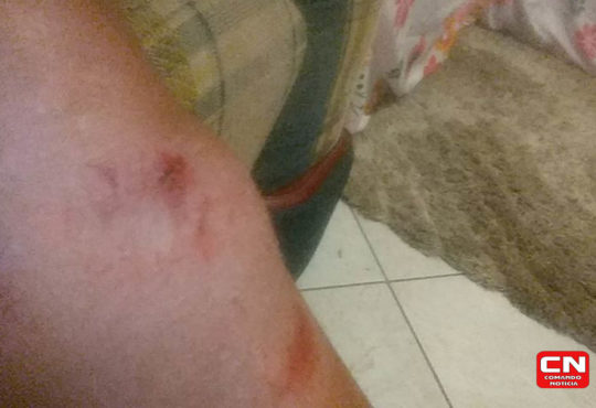 61759821 454899995314422 6139846888561573888 n cópia cópia