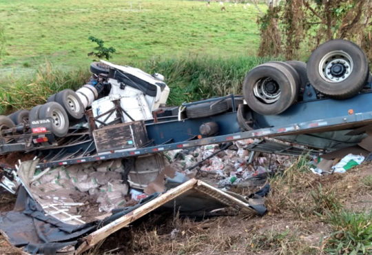 Came baixo junho de 2019 gazeta