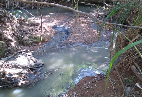 Esgoto porto seguro (2)