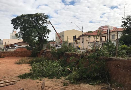 Whatsapp image 2019 06 18 at 12.57.54