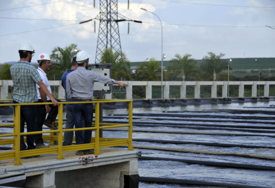 Etemariocandellosaaeindaiatuba