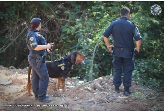 66687233 779951959086248 1273503115168972800 n