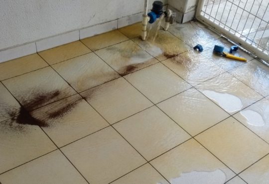 67373600 921236164879115 8489312695189766144 n