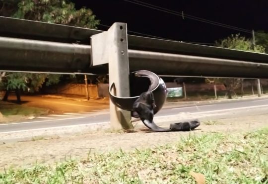 67495742 876115286120454 5325784688562798592 n