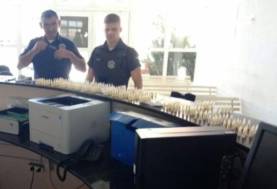 67662574 629524264206466 5964314182219202560 n