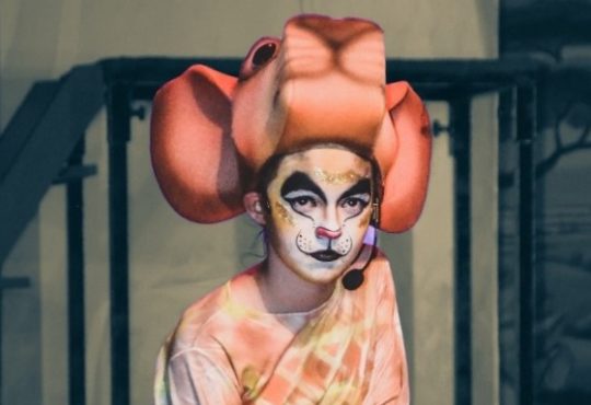 Dia 28 de julho, domingo, 15h o rei leÃo