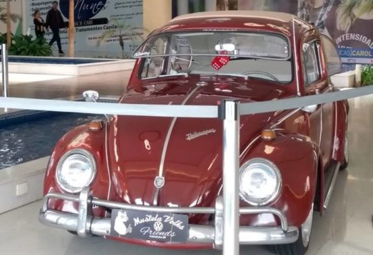 Expo fusca