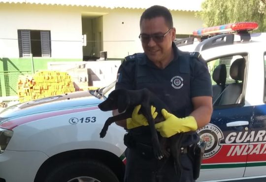 Whatsapp image 2019 08 17 at 11.35.57