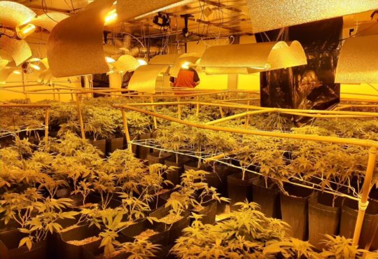 Whatsapp image 2019 08 22 at 14.20.43 1 