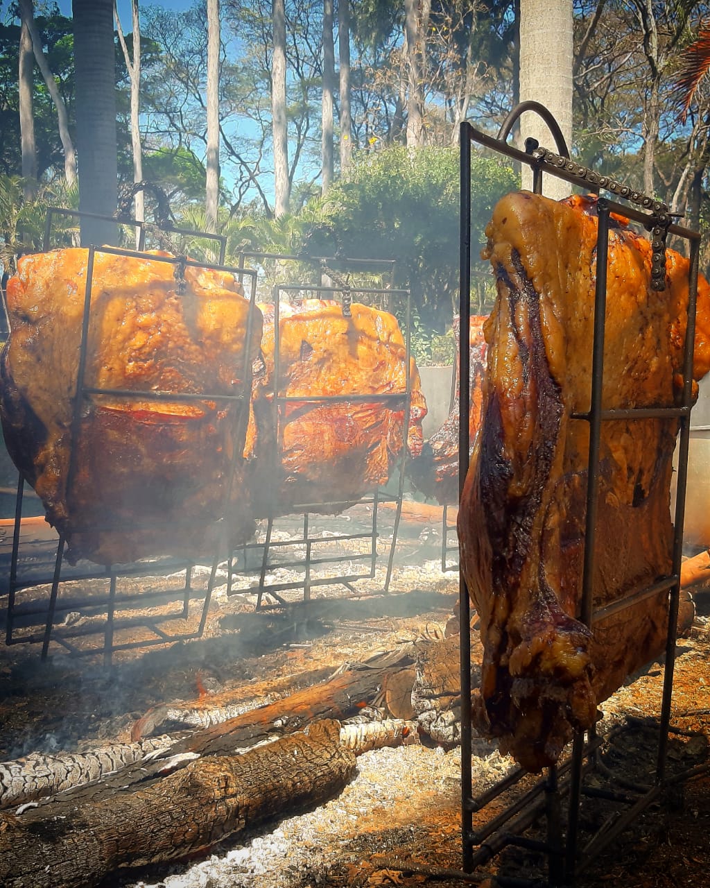 Bovinos Prime Carnes  Santa Bárbara d'Oeste SP