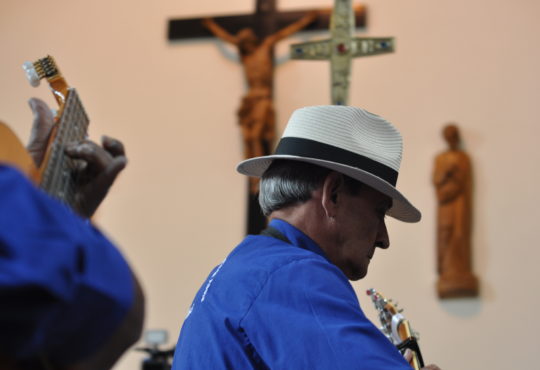 Folia de reis itaici (10)