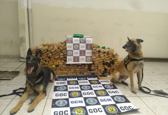 Whatsapp image 2019 09 27 at 12.34.12