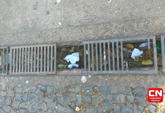 72925977 786083258476832 4325101370664288256 n cópia