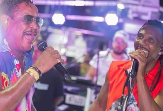 53165022 2069554729829577 8259110080281051136 n 800x445